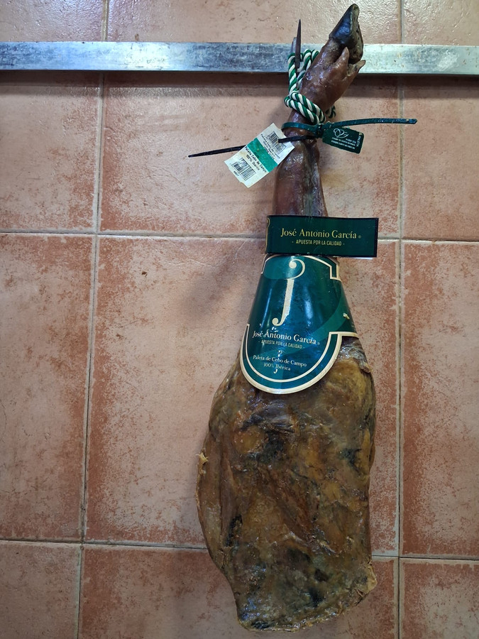 Paletilla Ibérica Cebo de Campo