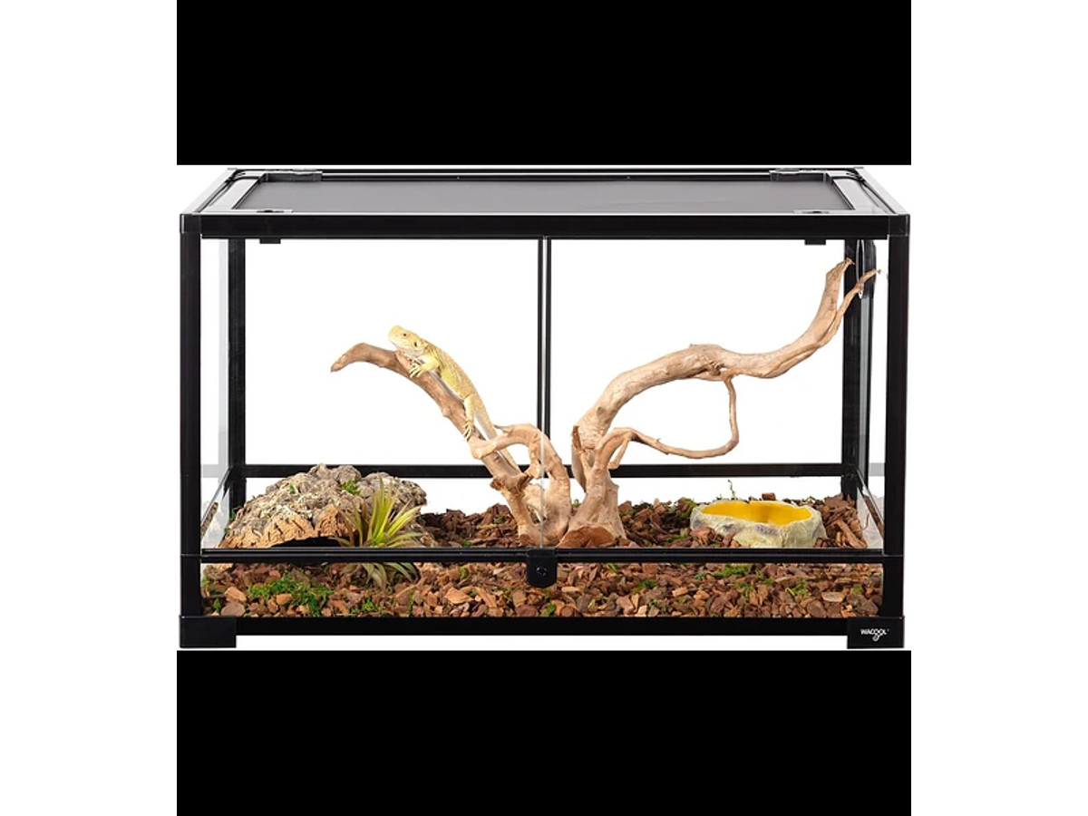 Terrarios para reptiles e invertebrados
