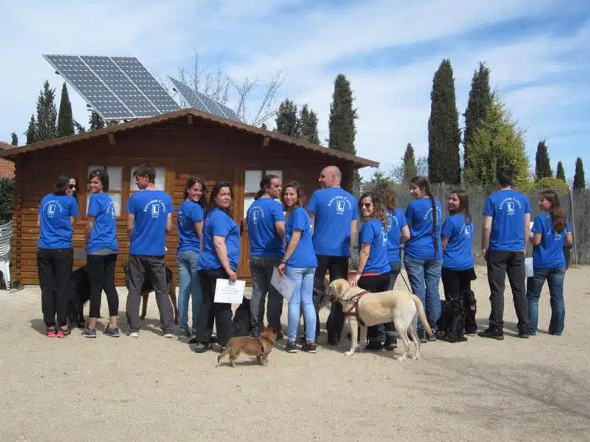 Cursos de adiestramiento en Madrid