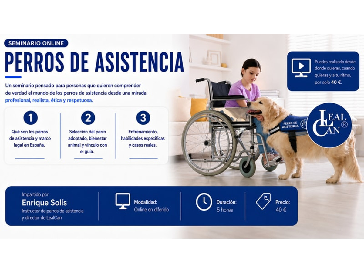 Cursos online de adiestramiento