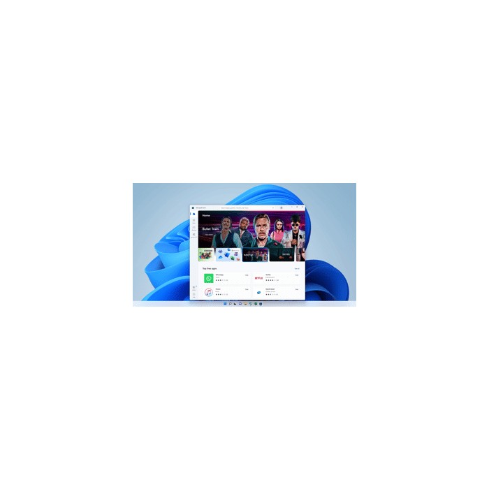 Microsoft Windows 11 Pro