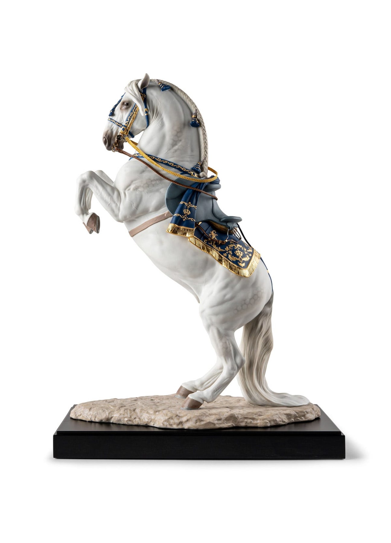 Caballo español de alta escuela