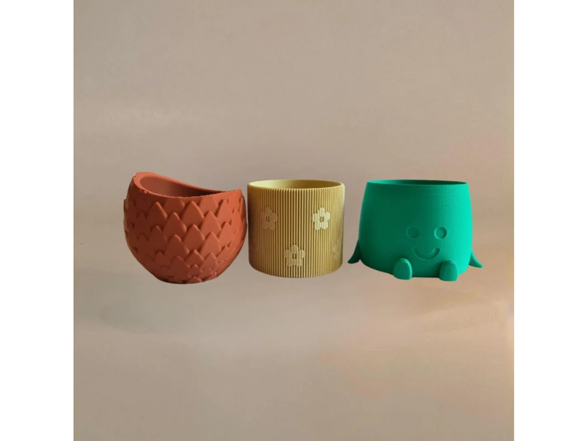 Maceta para cactus y suculentas