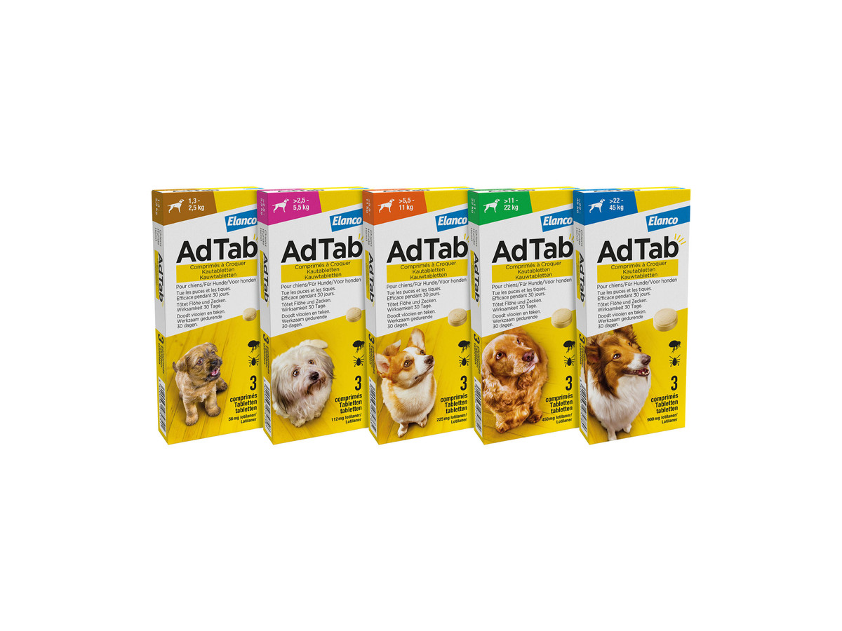 AdTab Comprimidos Perro