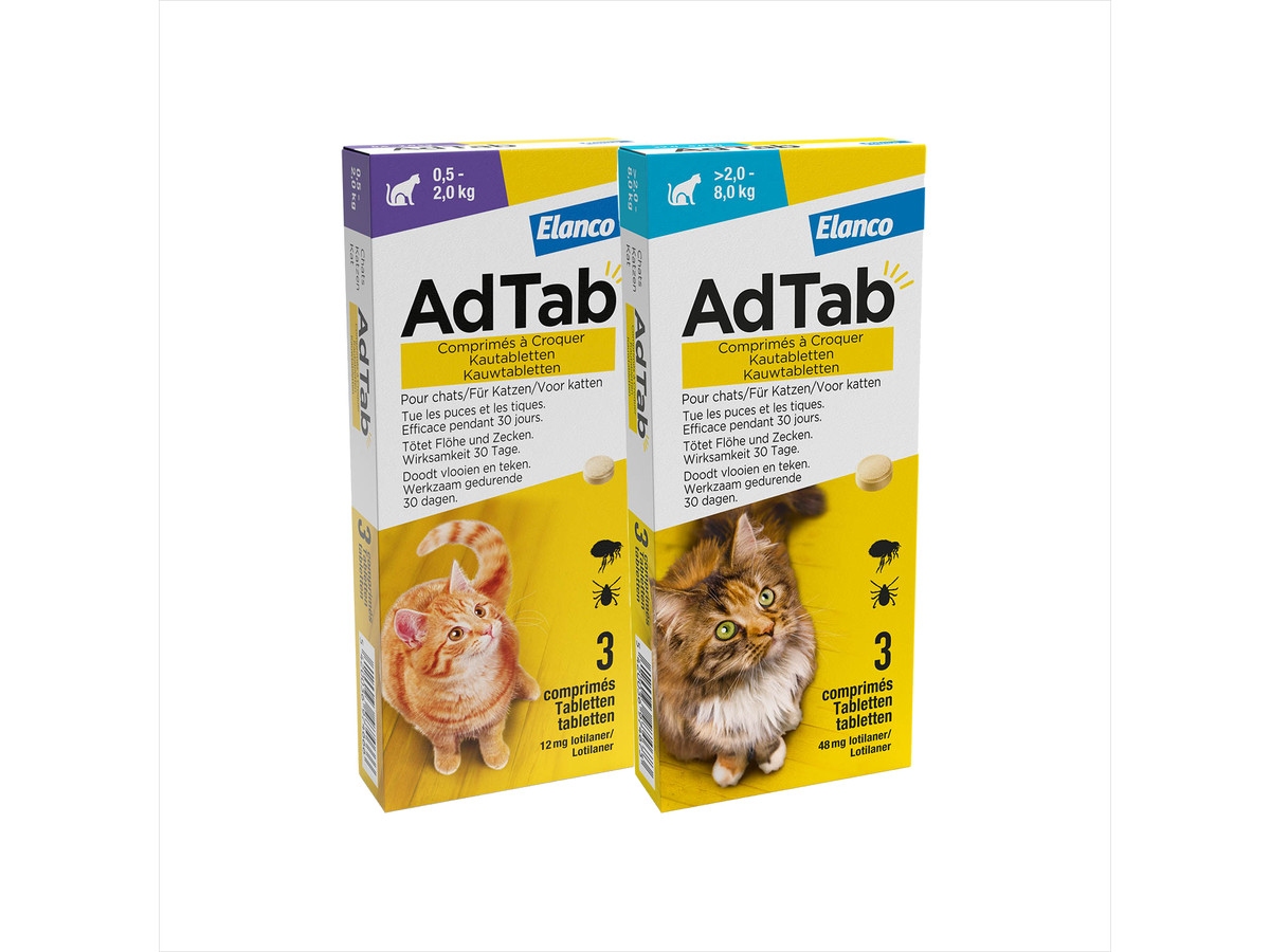 AdTab Comprimidos para Gatos