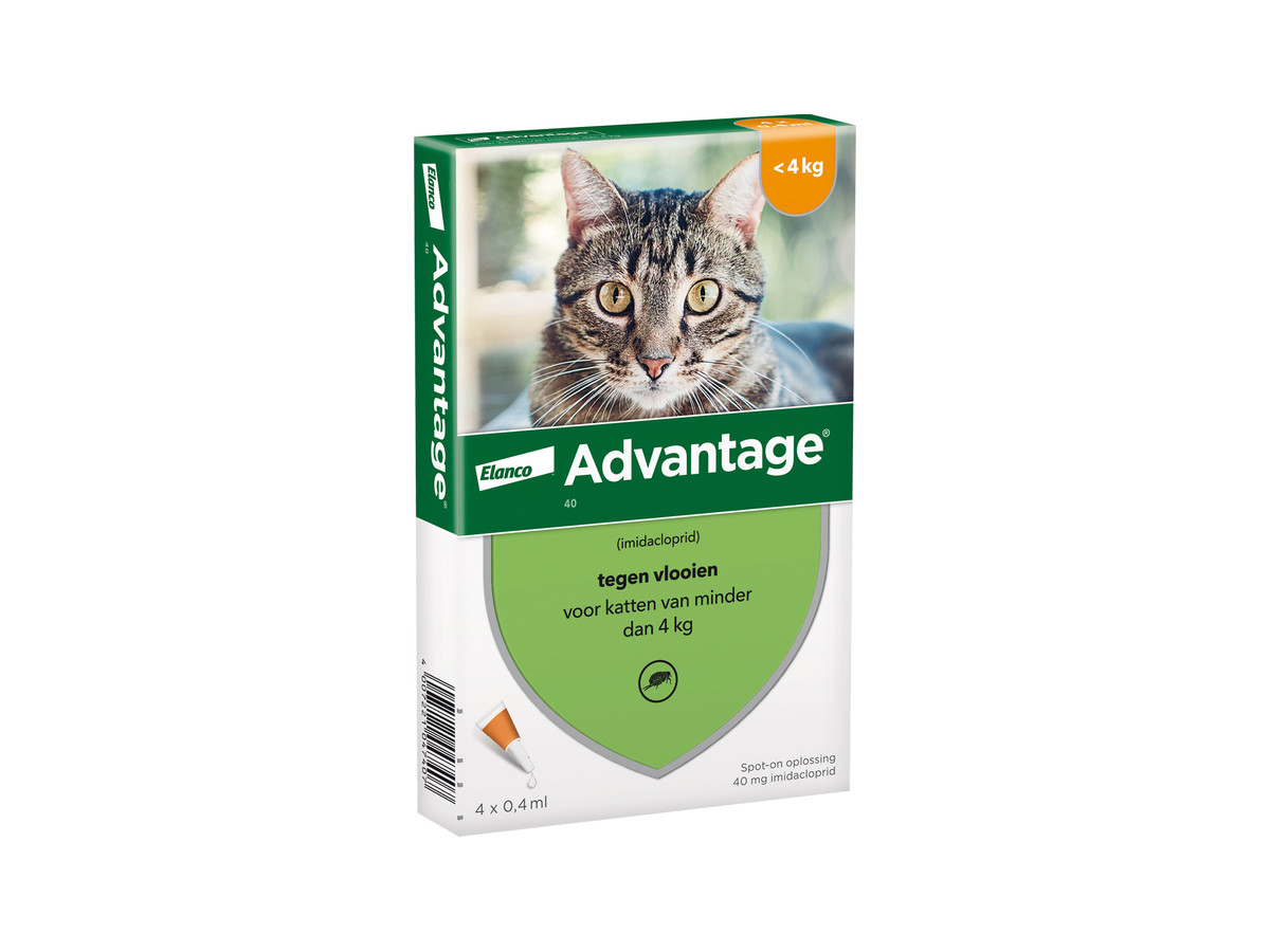 Advantage Gato