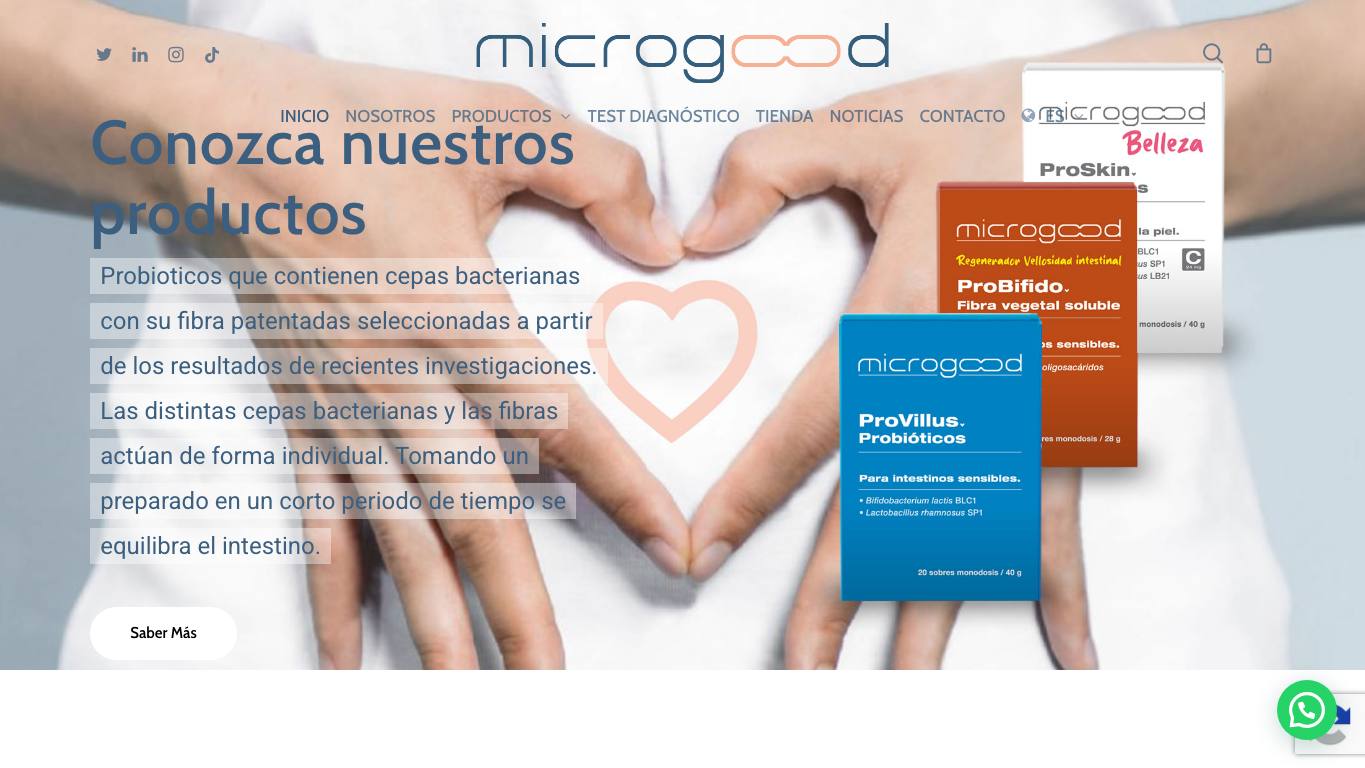 Captura limpia de la home de Microgood