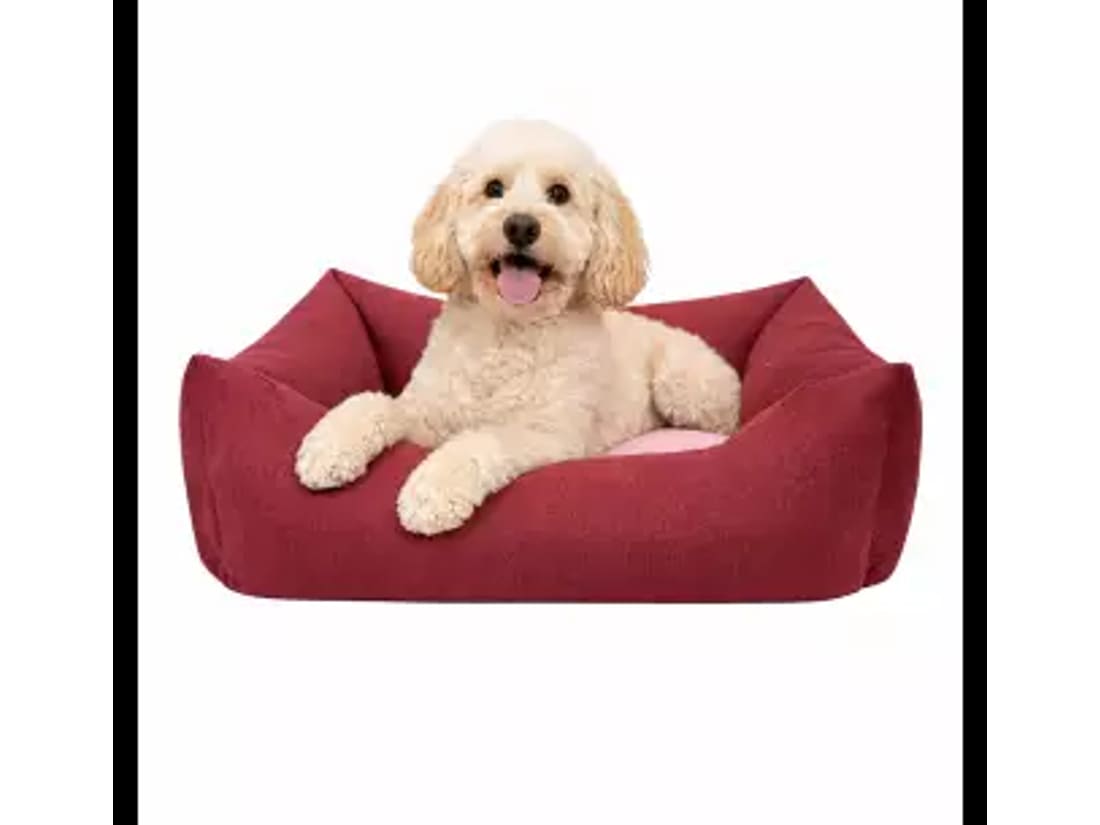 Camas para perros