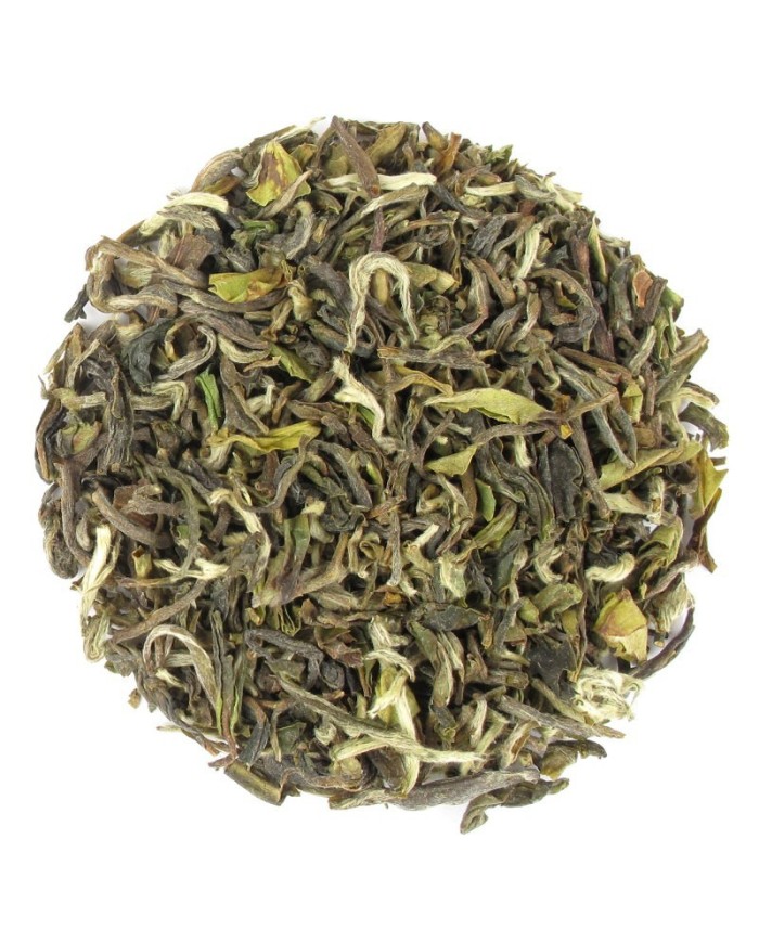 Darjeeling First Flush