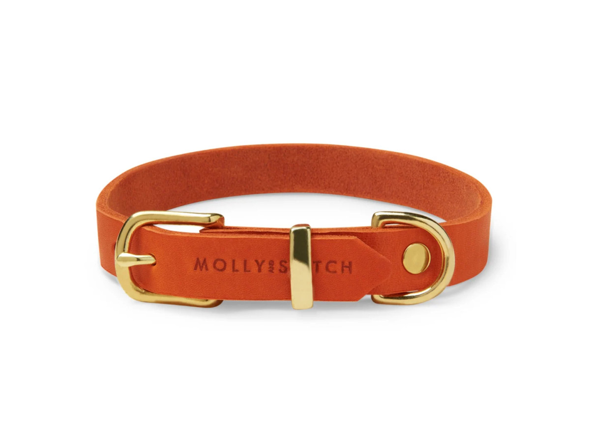 Butter Leather Dog Collar - Mango