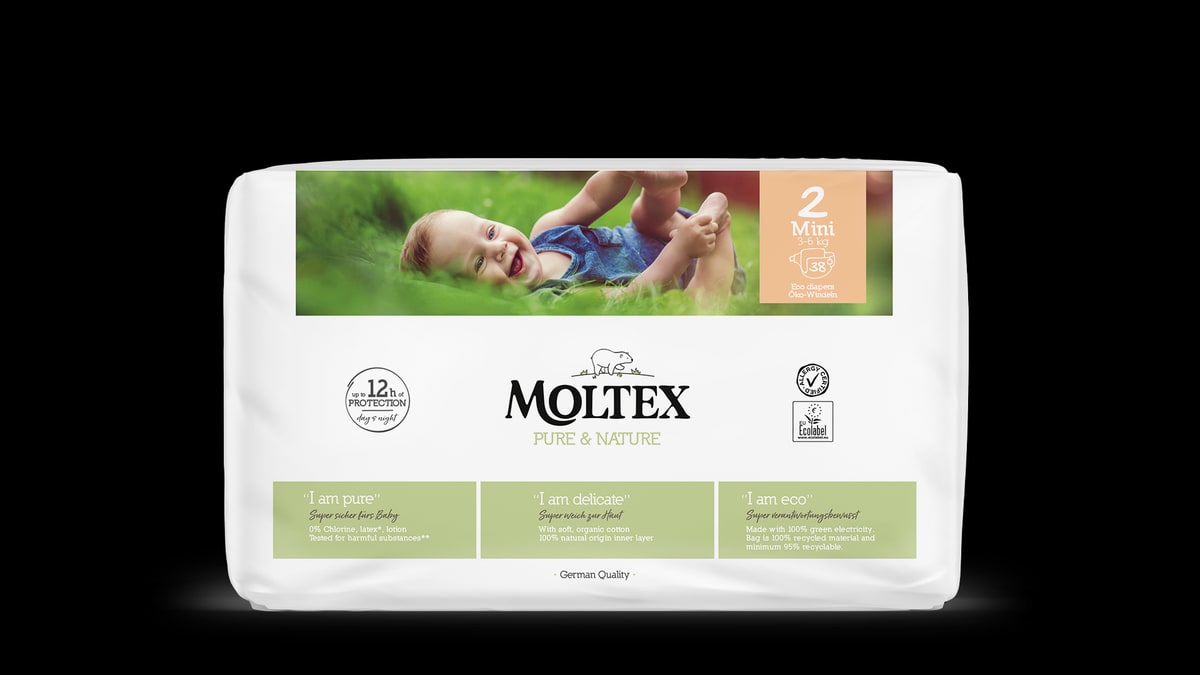 Moltex Mini