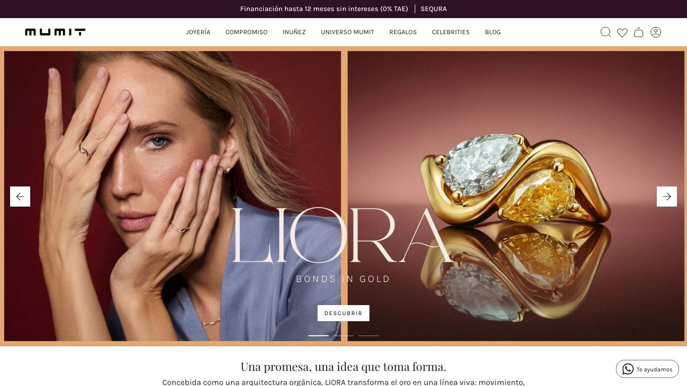 Captura real de la home de MUMIT