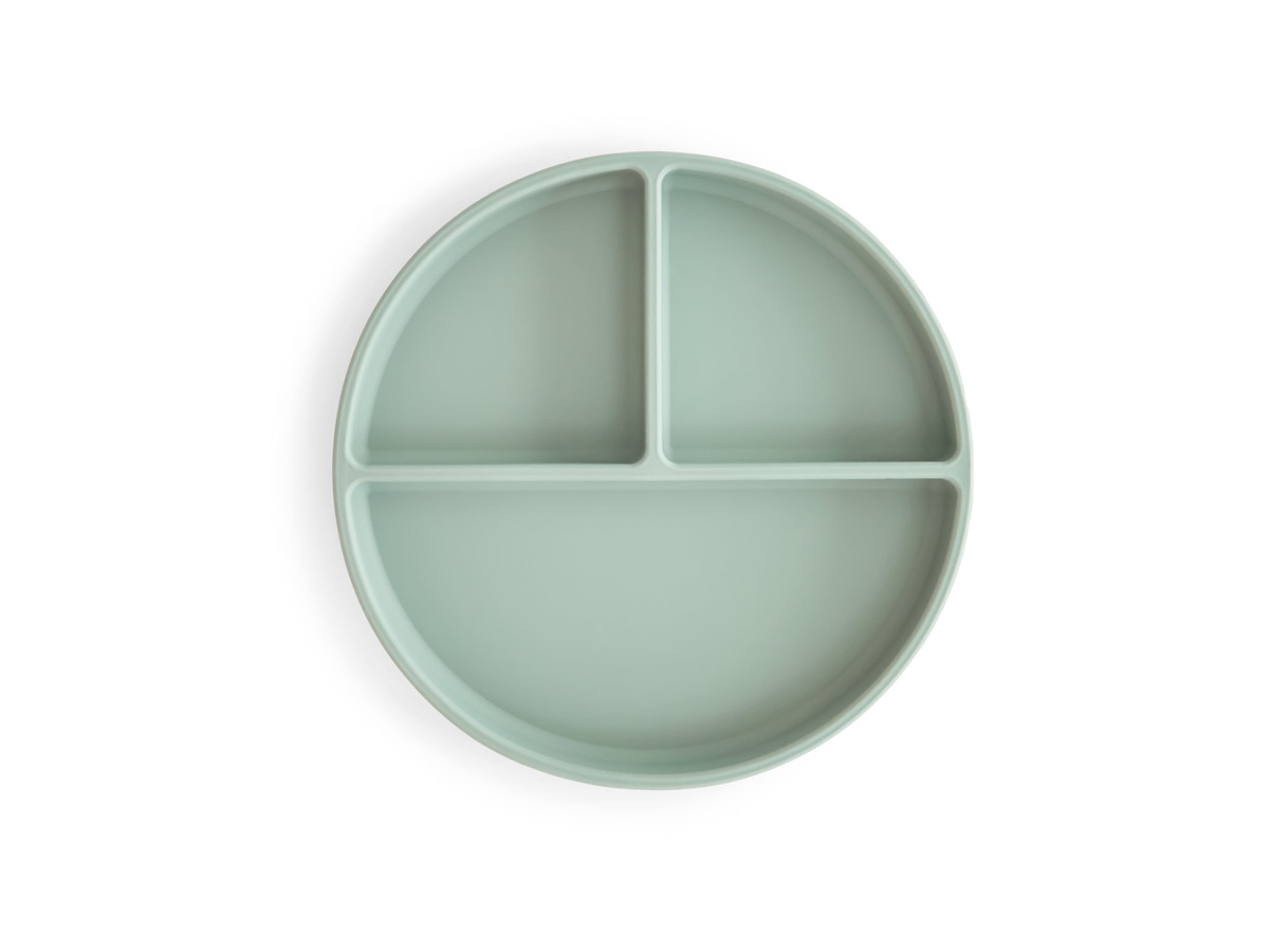 Silicone Suction Plate