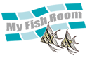 Logo de My Fish Room