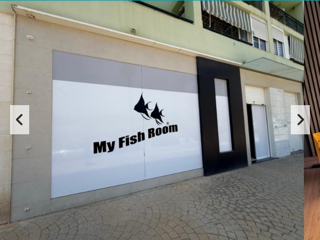 Tienda de acuarios online