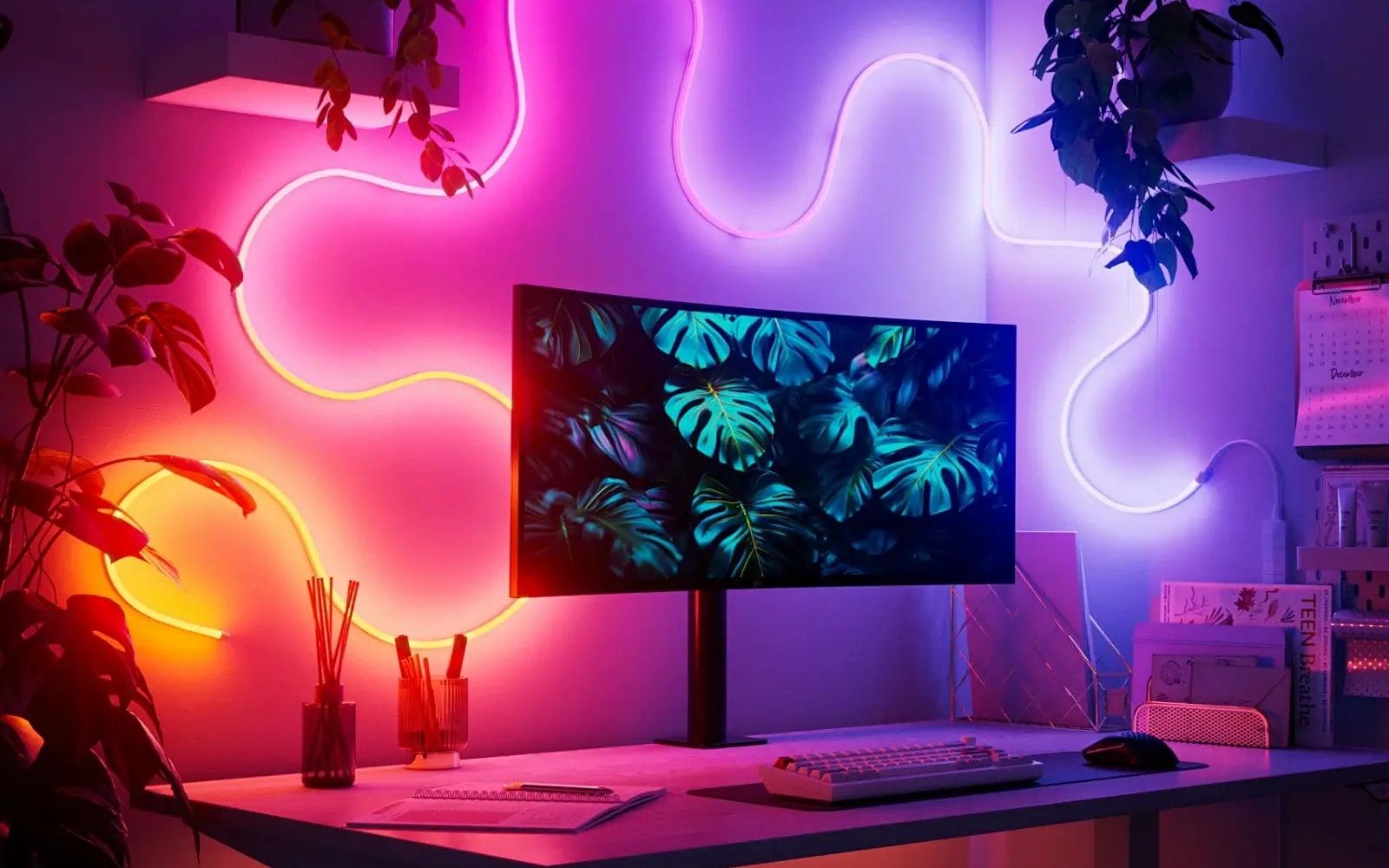 Matter Multicolor Rope Light