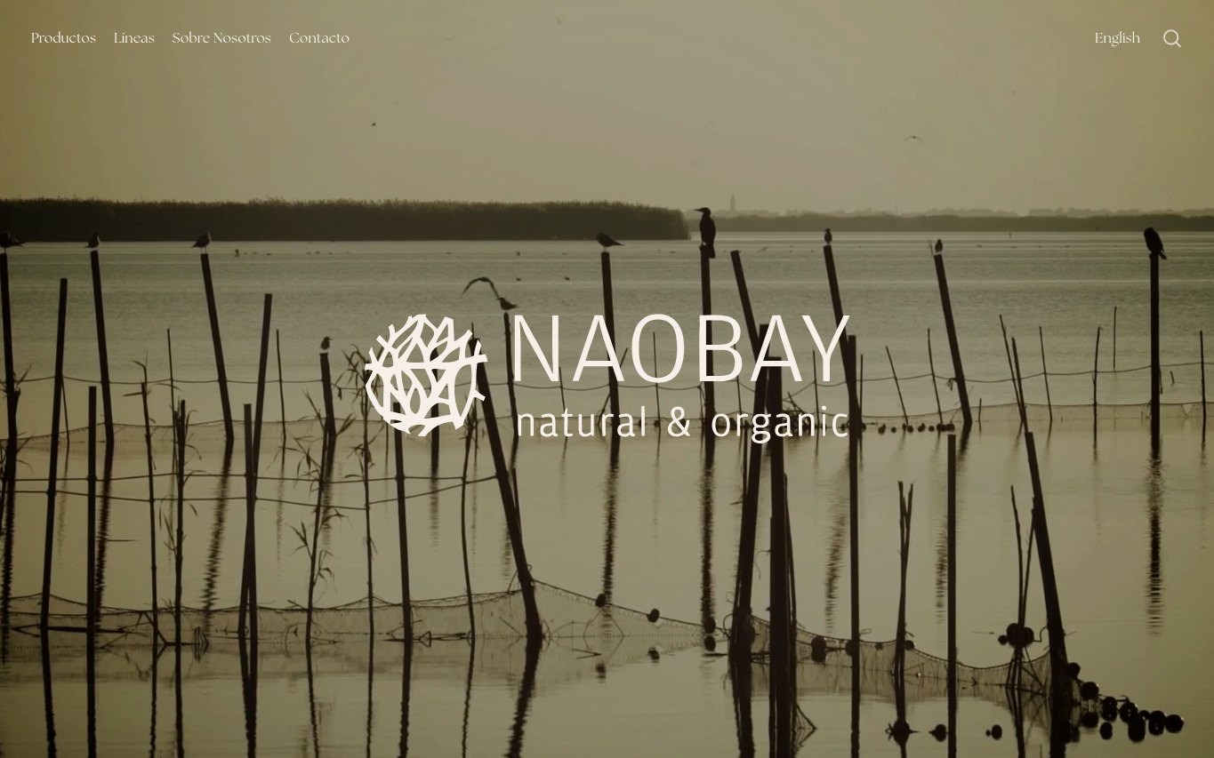 Captura real de la home de NAOBAY