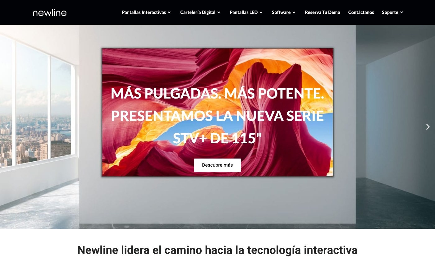 Captura limpia de la home oficial de Newline