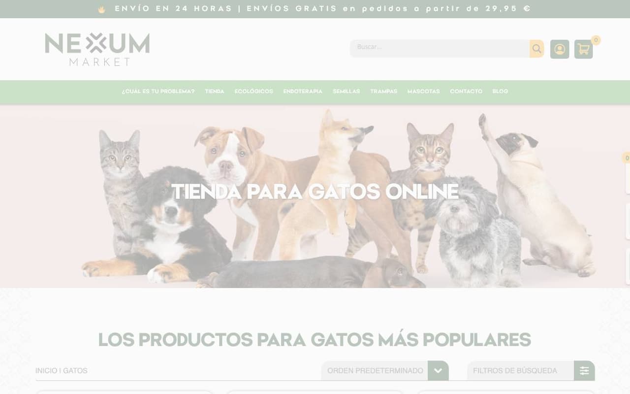 Captura limpia de la home oficial de Nexum Market