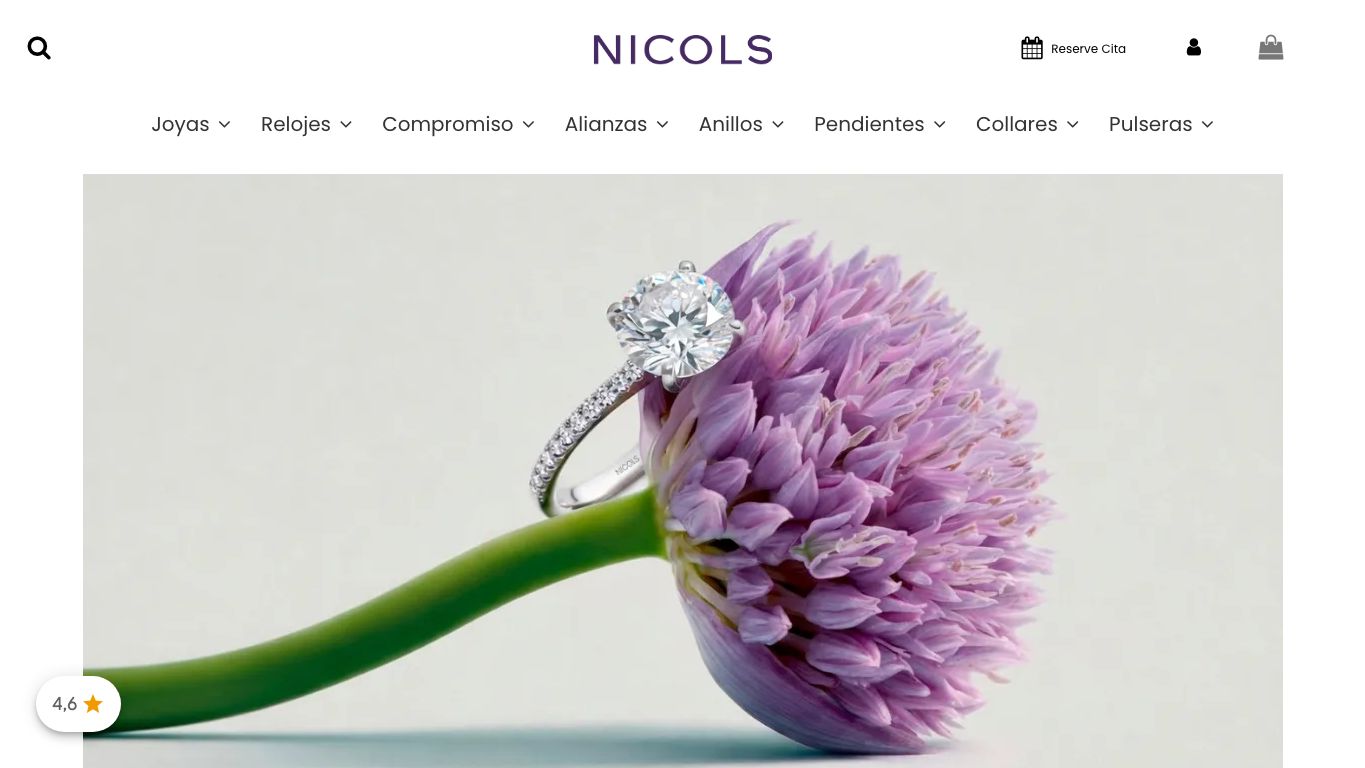 Captura real de la home de NICOLS