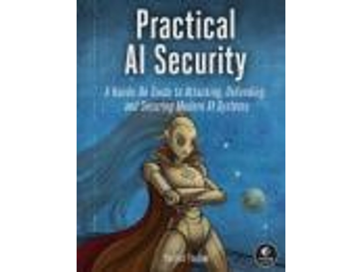 Practical AI Security