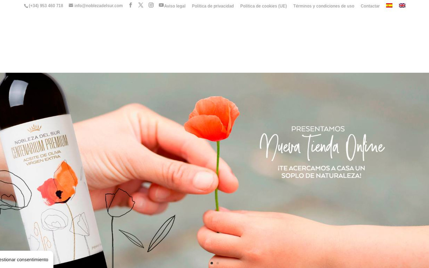 Captura de pantalla de la home de Nobleza del Sur