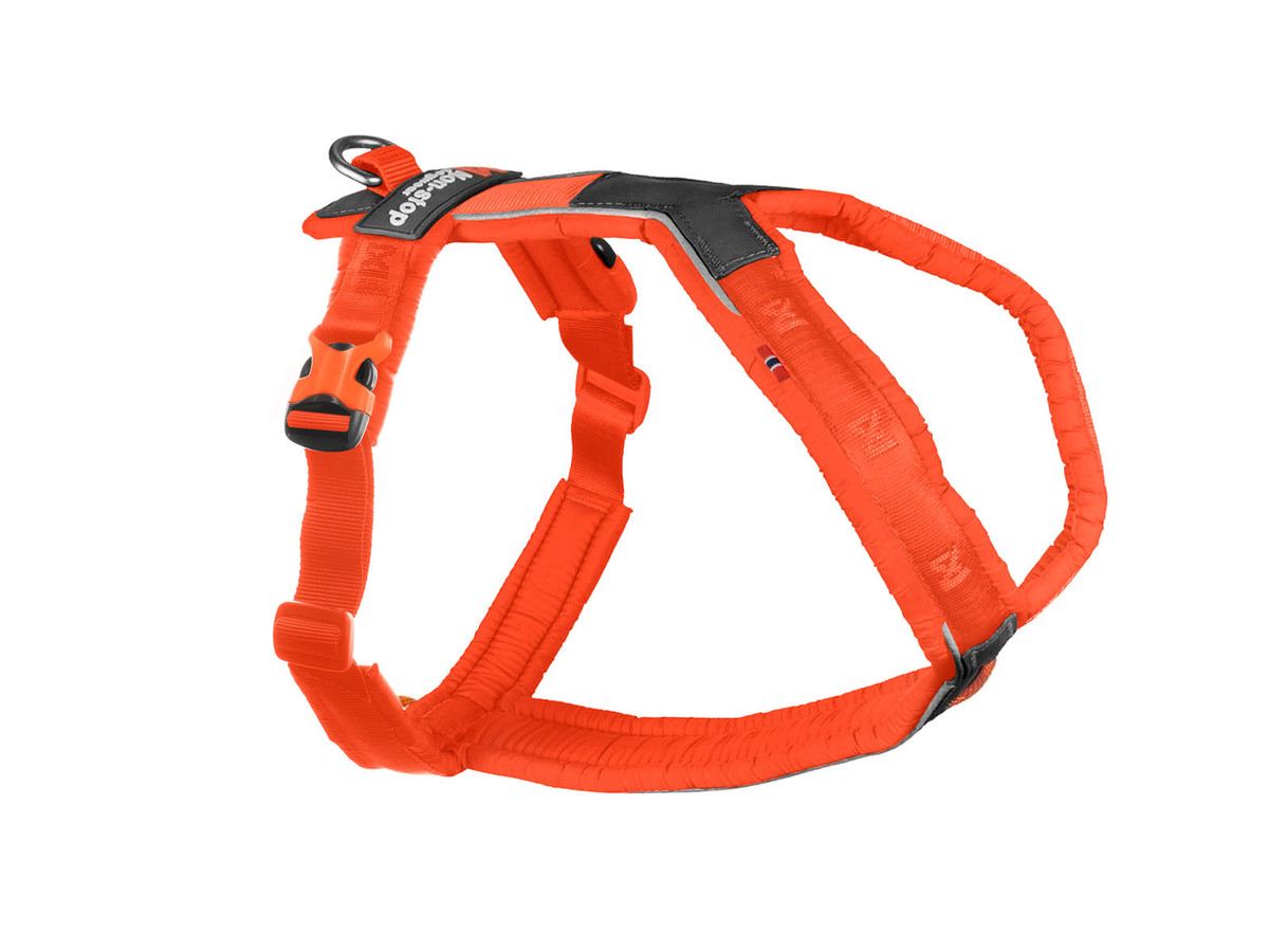 Non-stop Dogwear Line harness 5