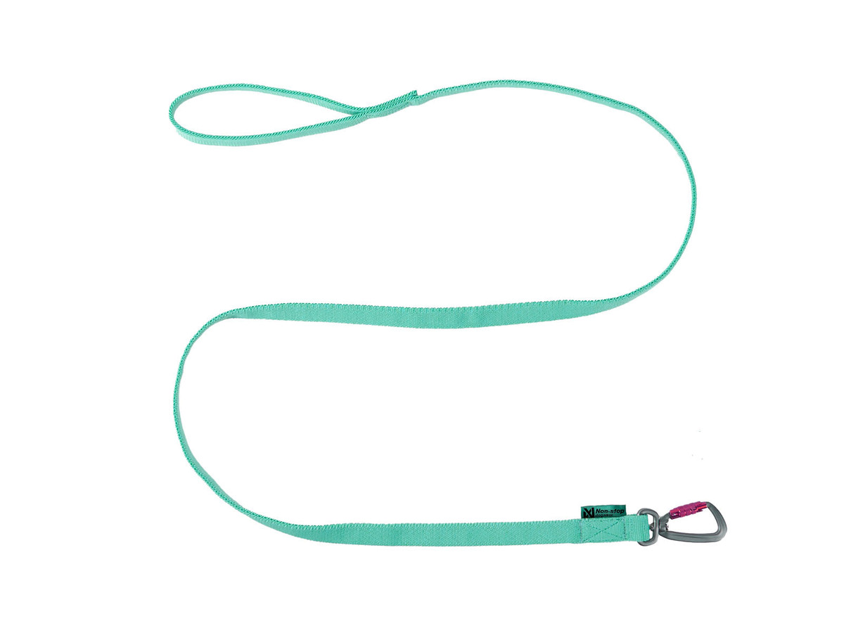 Non-stop Dogwear Bungee leash