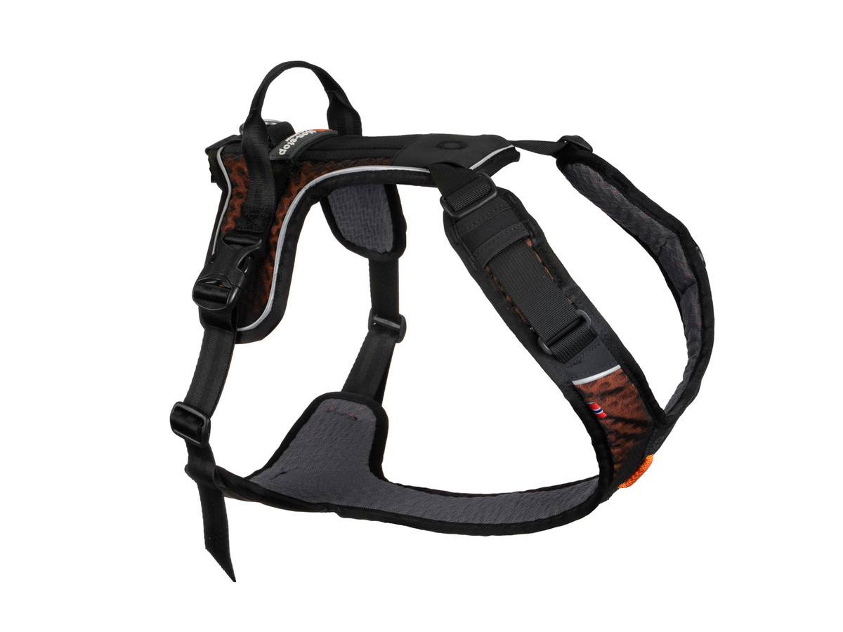 Non-stop Dogwear Rock harness