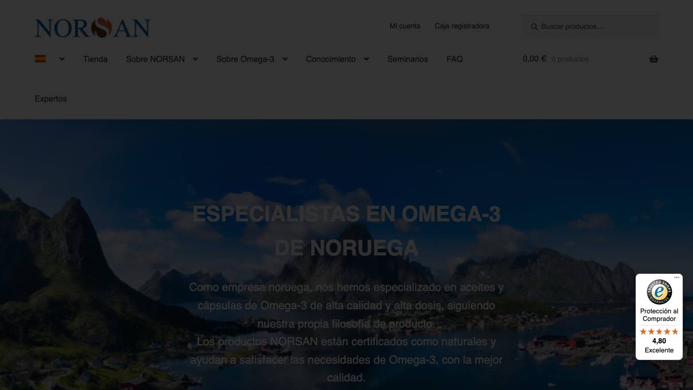 Captura de pantalla de la home de NORSAN