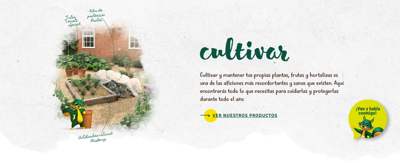 « Lo que llevas dentro, lo vives fuera »