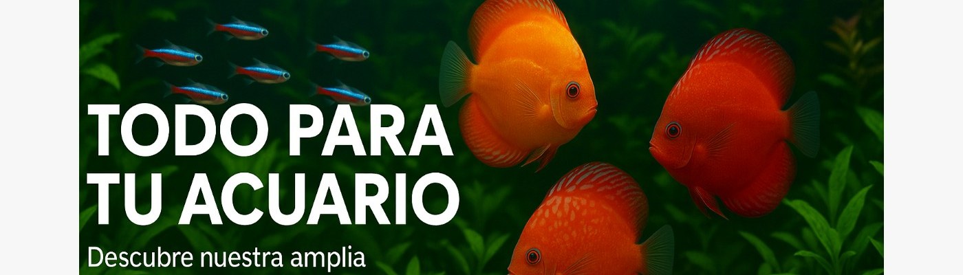 Oceanoshop: referencia oficial 4