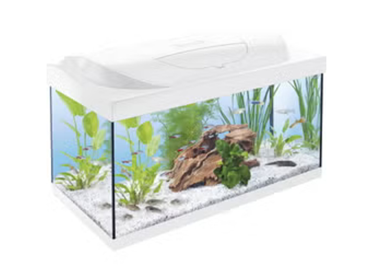 Tetra Acuario completo Starter Line 54 L
