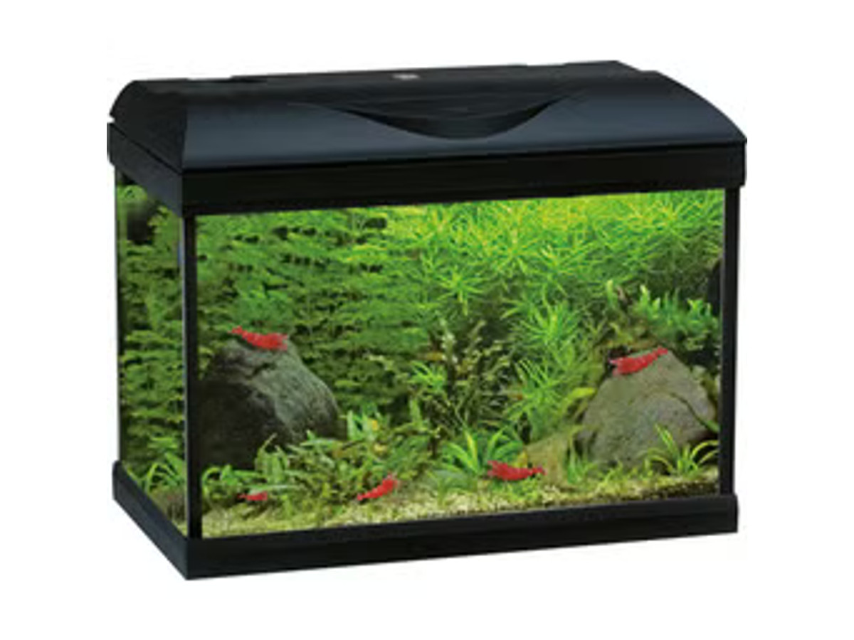 Amtra Acuario BASIC LED negro