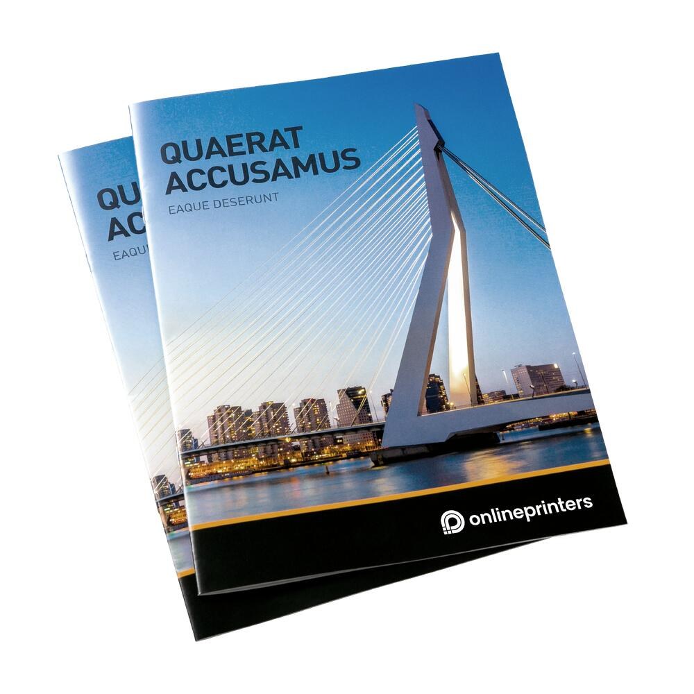 Revistas grapadas