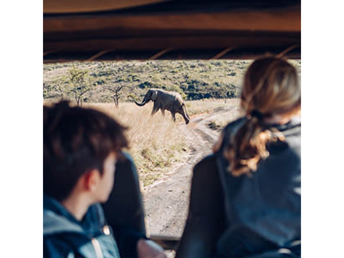 Luxury road trips
