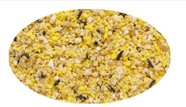 Tu Tienda de Pájaros Online de Confianza