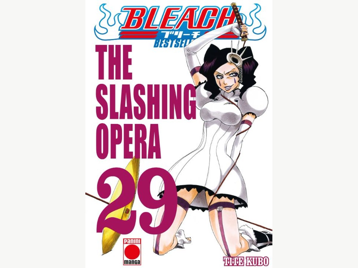 Bleach Bestseller 29