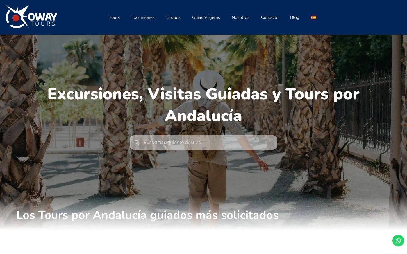 Captura de pantalla de la home de OWAY Tours