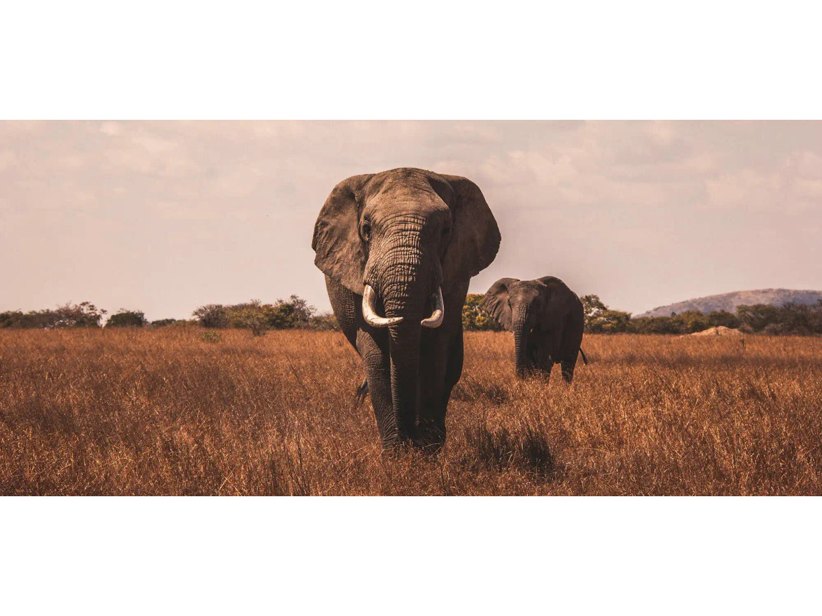 Viaje a Tanzania a medida