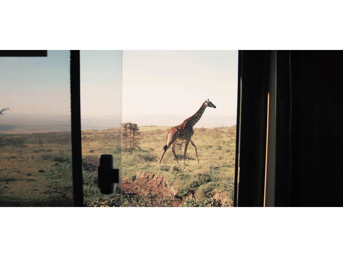 ✈ Los mejores viajes de safari a África ✈ Aquí ✓ | PANGEA The Travel Store