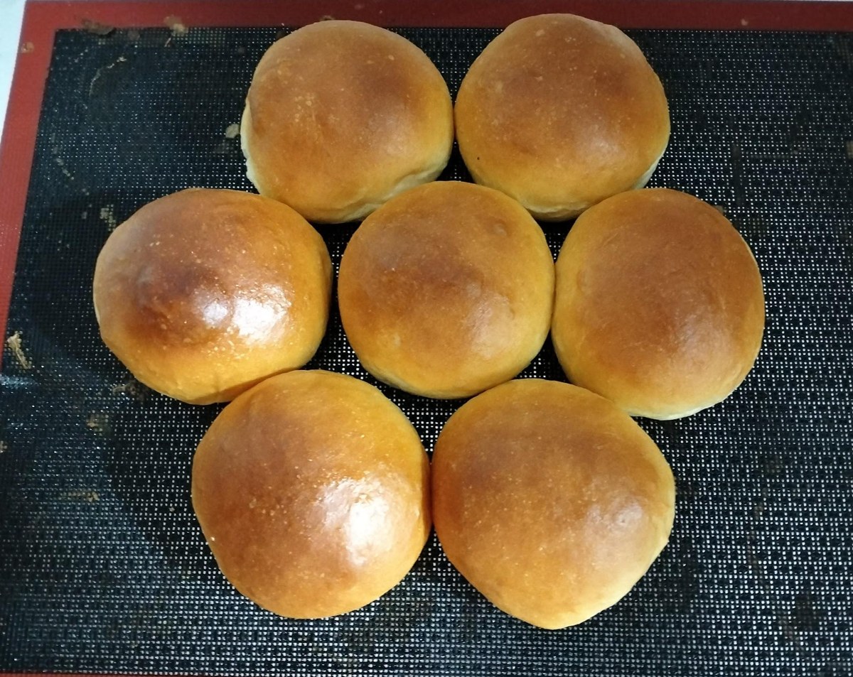 Brioche