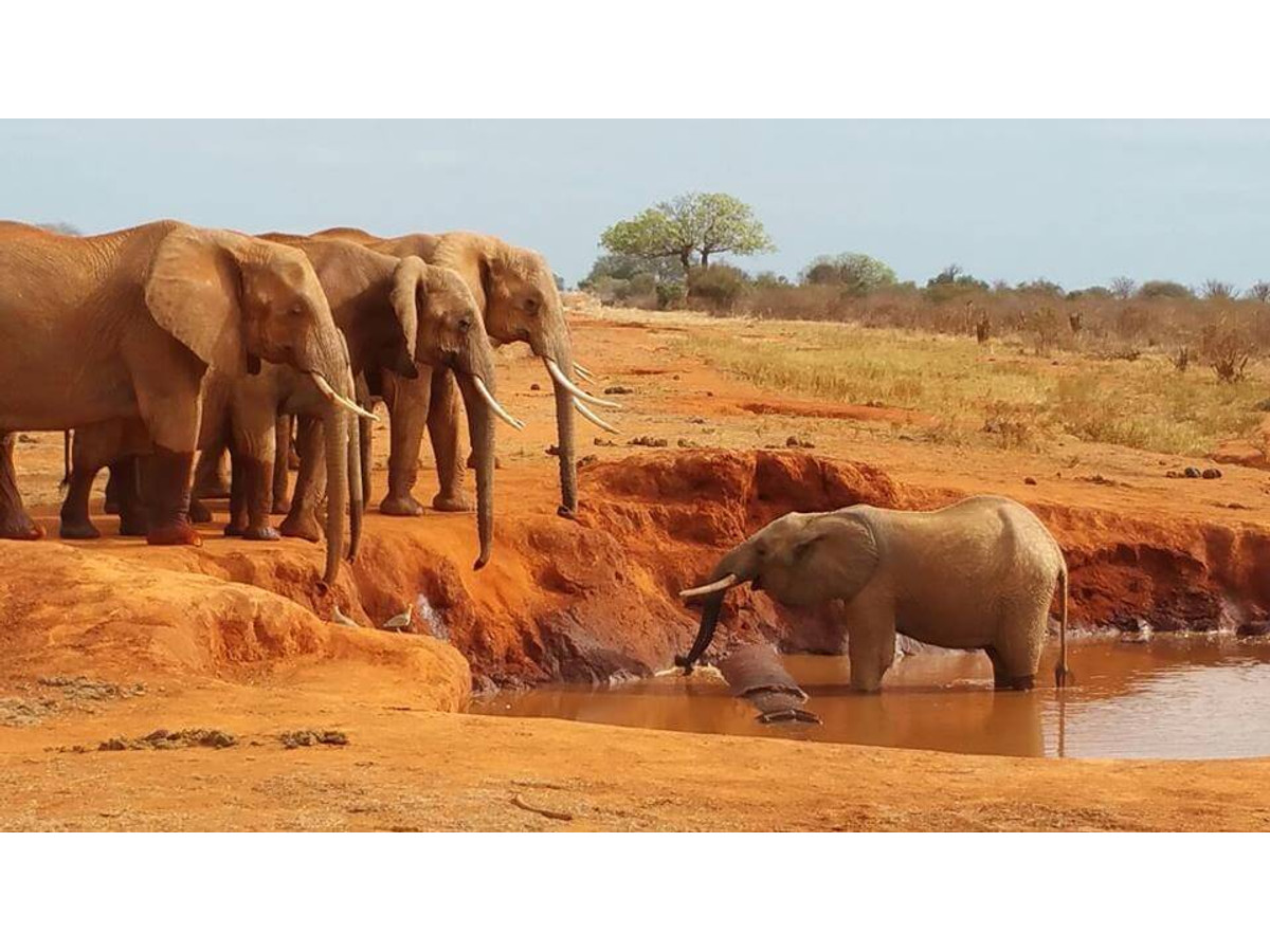 Kenia puente de diciembre
