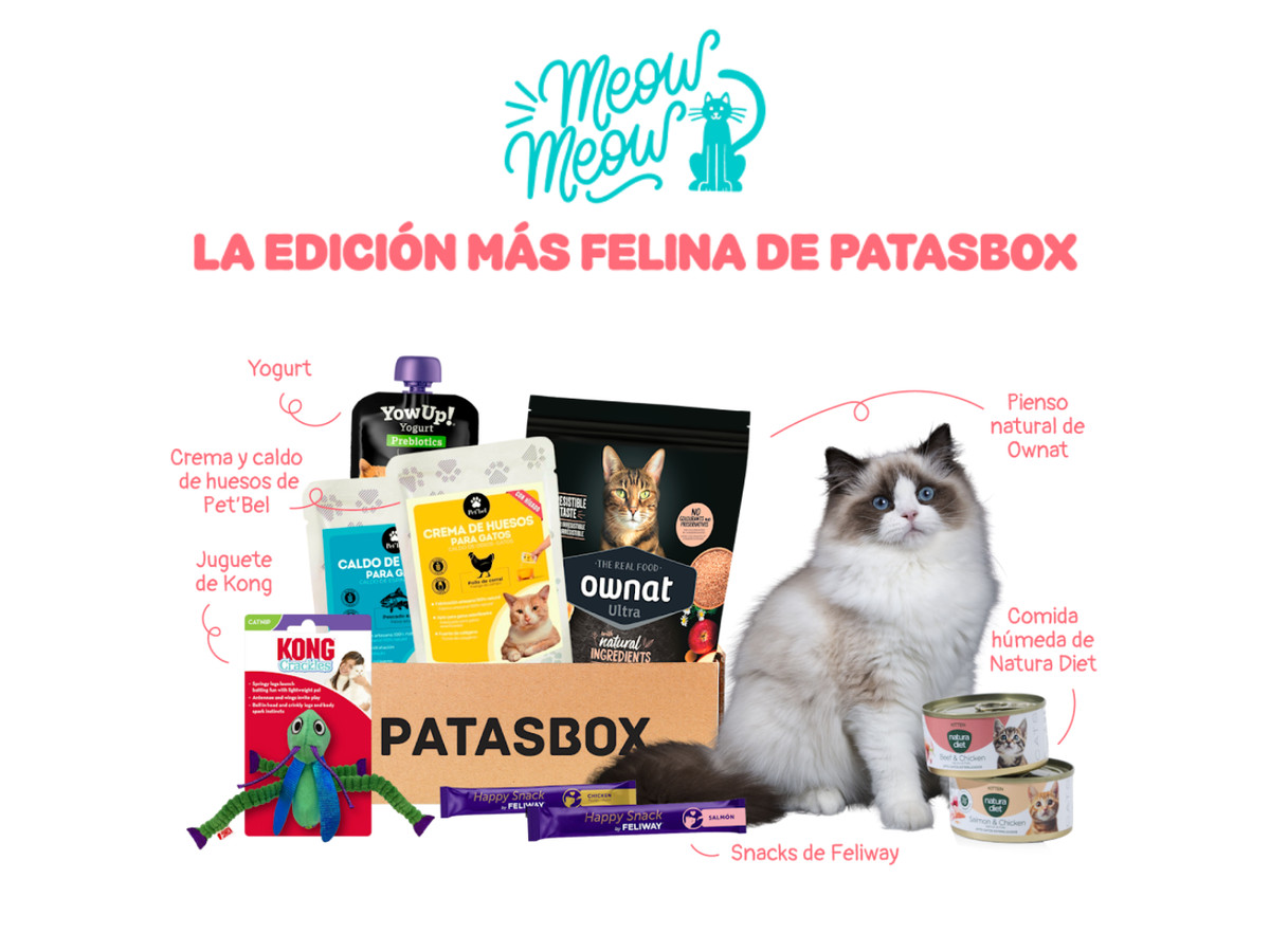Patasbox Gato