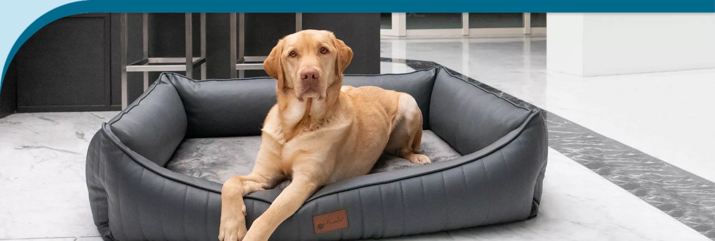 Orthopaedic Dog Beds