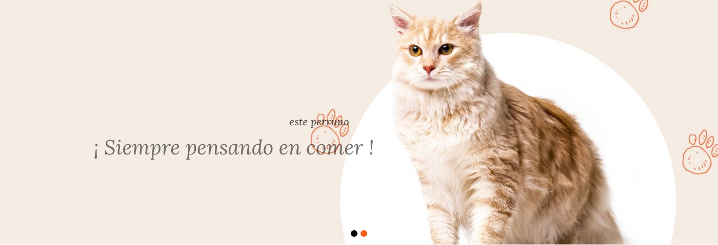 PiensosRaposo, tu tienda especializada para mascotas