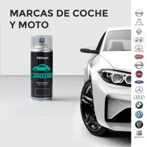 Spray pintura coches color original