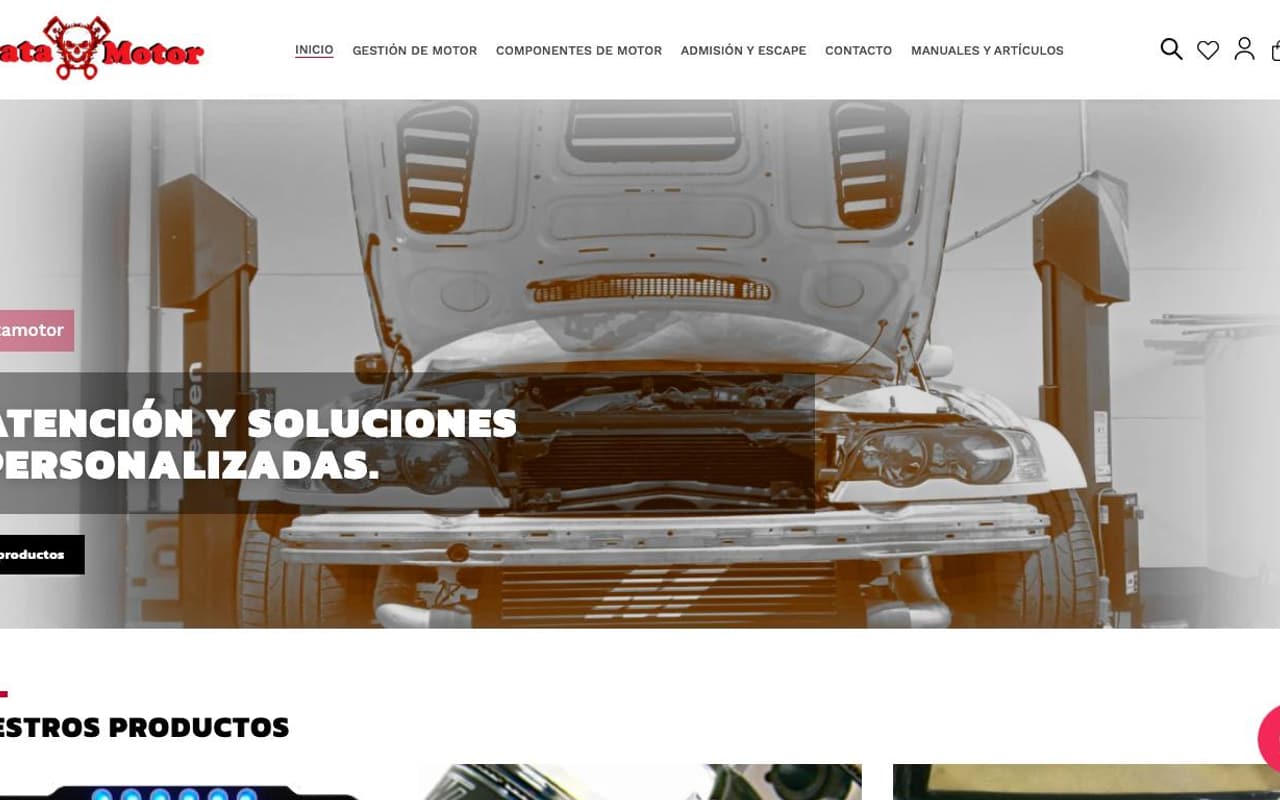 Captura limpia de la home oficial de Piratamotor