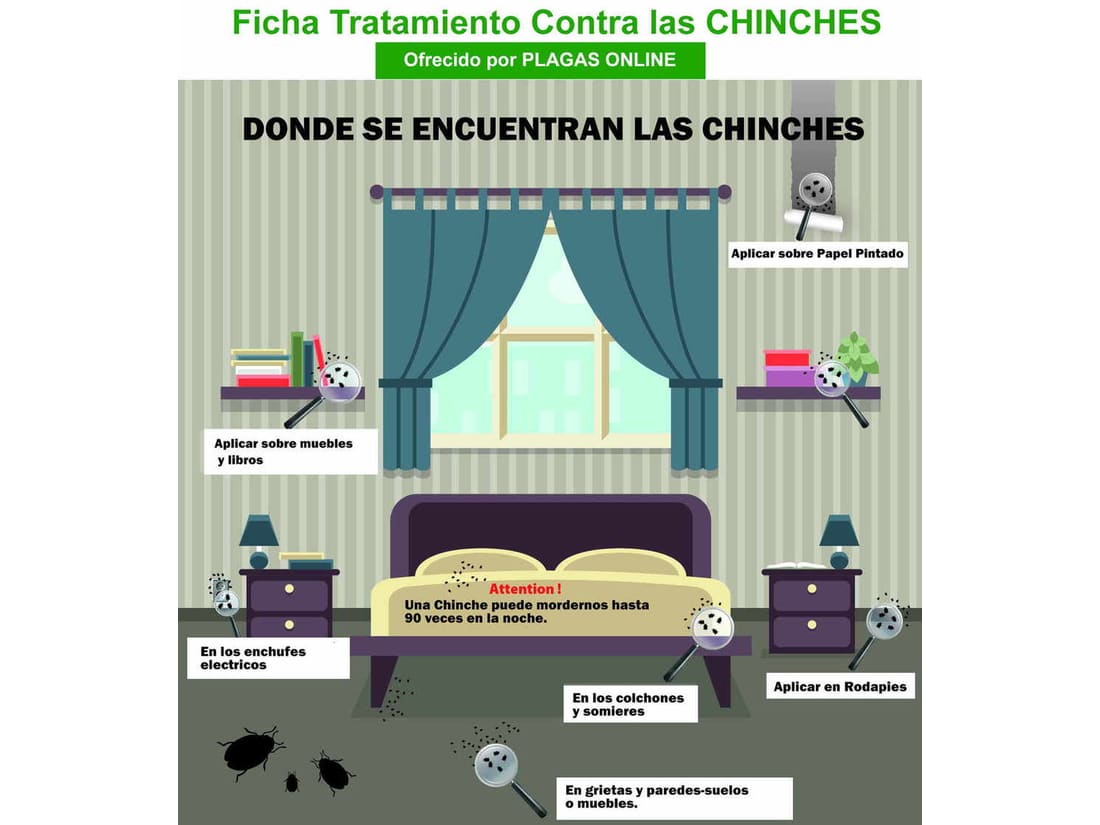 Pack anti-hormigas