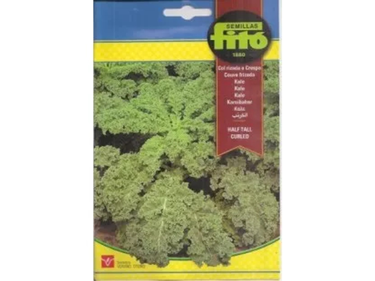 Kale Half Tall Curled